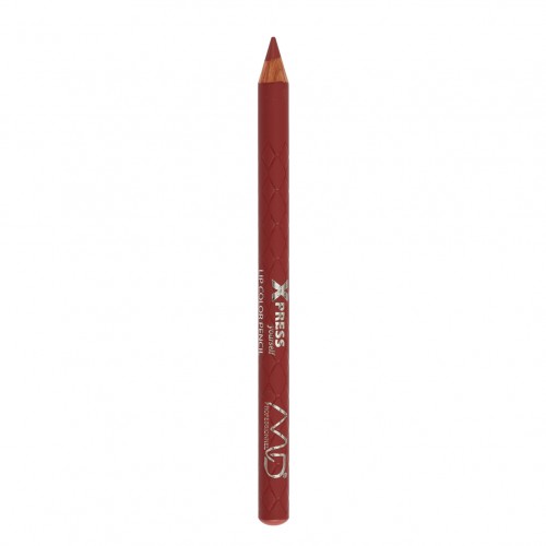  MD Professionnel Xpress Yourself Lip Color Pencil 231